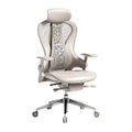 **Technische titel in het Nederlands: Ergonomische bureaustoel met mesh rugleuning en verstelbare armleuningen**